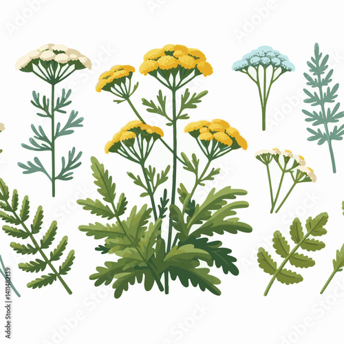 plant, yarrow, background, blossom, flower, nature, herb, medicine, garden, white, bloom, natural, leaf, green, floral, achillea millefolium, beautiful, achillea, herbal, petal, milfoil, blooming, flo