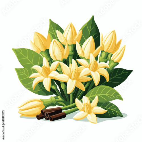plant, blossom, nature, flora, bloom, aromatherapy, flower, natural, aroma, yellow, leaf, tropical, beauty, cananga, perfume, green, isolated, botanical, background, spa, essential, fragrance, organic