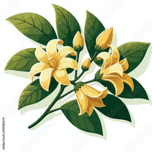 plant, blossom, nature, flora, bloom, aromatherapy, flower, natural, aroma, yellow, leaf, tropical, beauty, cananga, perfume, green, isolated, botanical, background, spa, essential, fragrance, organic