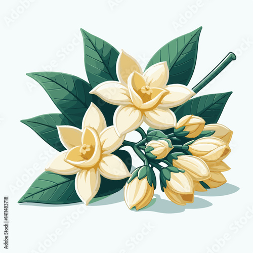 plant, blossom, nature, flora, bloom, aromatherapy, flower, natural, aroma, yellow, leaf, tropical, beauty, cananga, perfume, green, isolated, botanical, background, spa, essential, fragrance, organic
