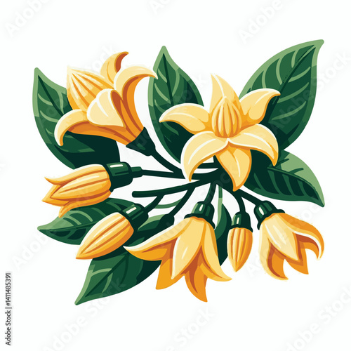 plant, blossom, nature, flora, bloom, aromatherapy, flower, natural, aroma, yellow, leaf, tropical, beauty, cananga, perfume, green, isolated, botanical, background, spa, essential, fragrance, organic