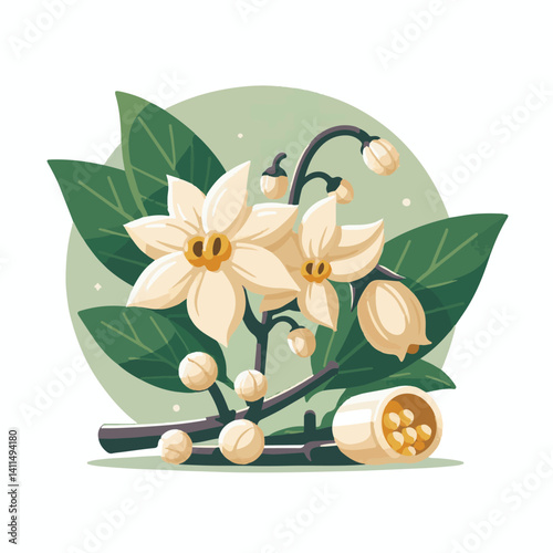 plant, blossom, nature, flora, bloom, aromatherapy, flower, natural, aroma, yellow, leaf, tropical, beauty, cananga, perfume, green, isolated, botanical, background, spa, essential, fragrance, organic
