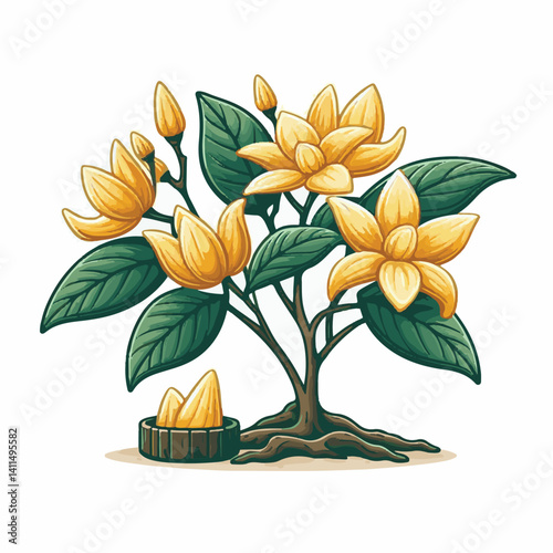 plant, blossom, nature, flora, bloom, aromatherapy, flower, natural, aroma, yellow, leaf, tropical, beauty, cananga, perfume, green, isolated, botanical, background, spa, essential, fragrance, organic