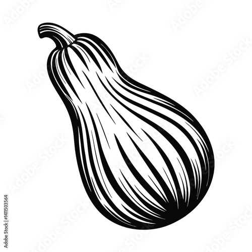 Striped Butternut Squash Black and White Organic Vegetable Art Design