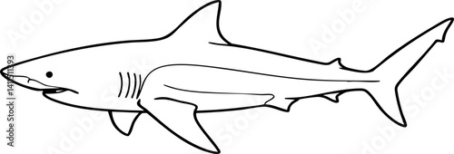 Shark Outlined Illustration of Marine Predator