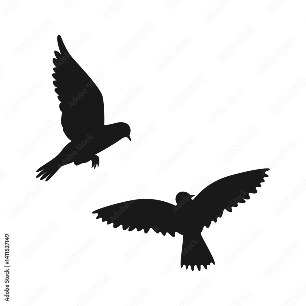 Fototapeta premium Crow silhouette