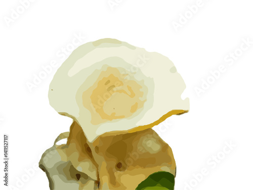 White mushroom enchantment 