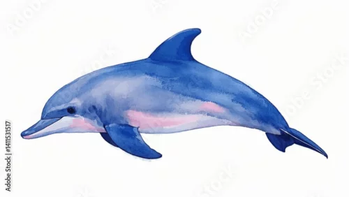 Obraz Harmony in hue dolphin isolated watercolor vector illustration svg