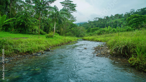 Conserve crystal clear streams
