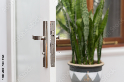 Open door with modern door latch with house plant behind