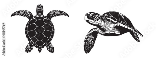 Silhouette of Sea turtle vector icon set illustration isolated on white background.