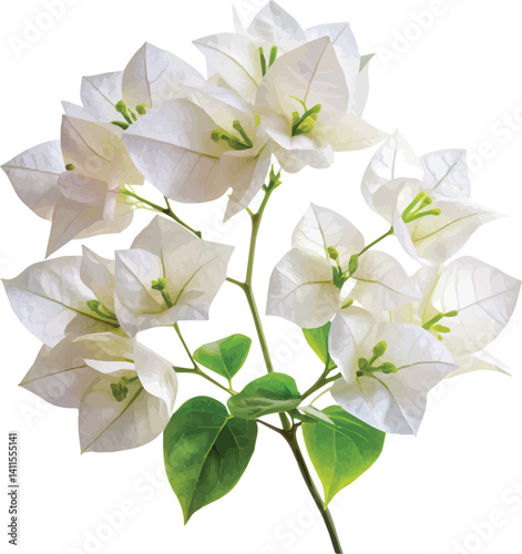 A beautiful bouquet of white roses and other white flowers blossoms in a spring floral arrangement against a clean white background