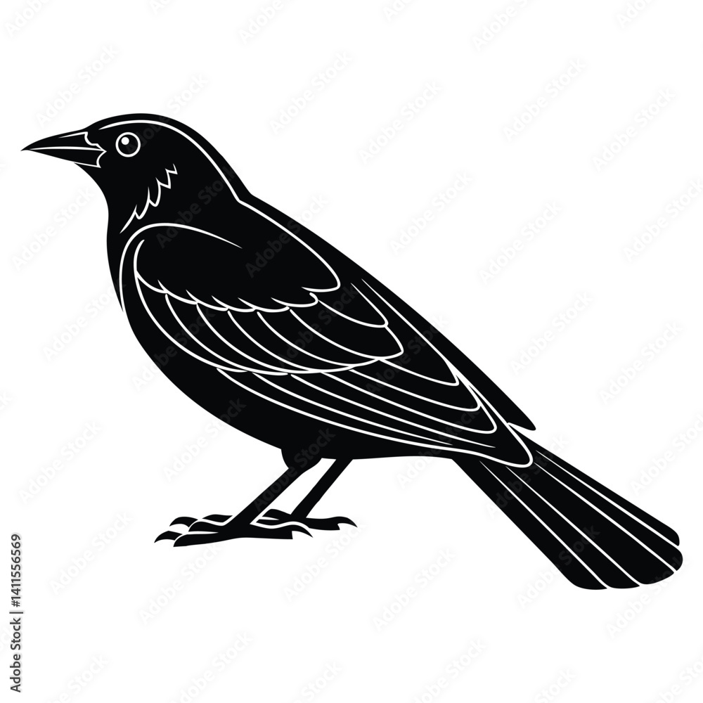 Fototapeta premium Red-winged blackbird silhouette, bird silhouette on a white background