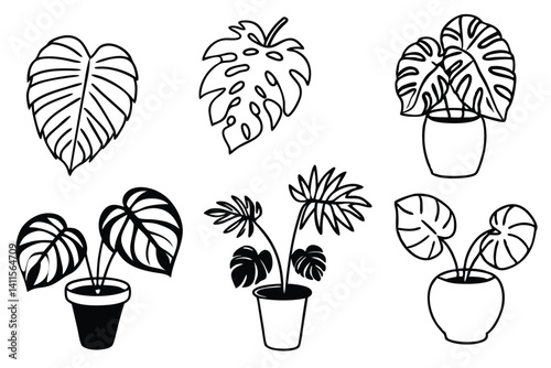 monstera line art minimalist botanical home wall decor