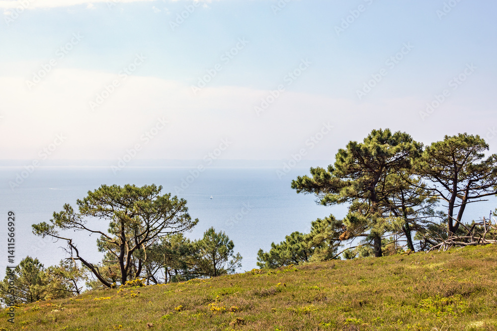 Obraz premium Seascape view to the horizon from an outcrop