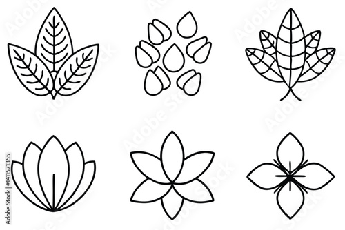 moringa line art clean and modern plant illustration
