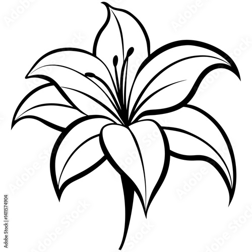 Vector silhouette of a lily flower with long, elegant petals extending outward,