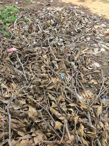 A sprawling heap of fallen leaves, twigs, and discarded debris.