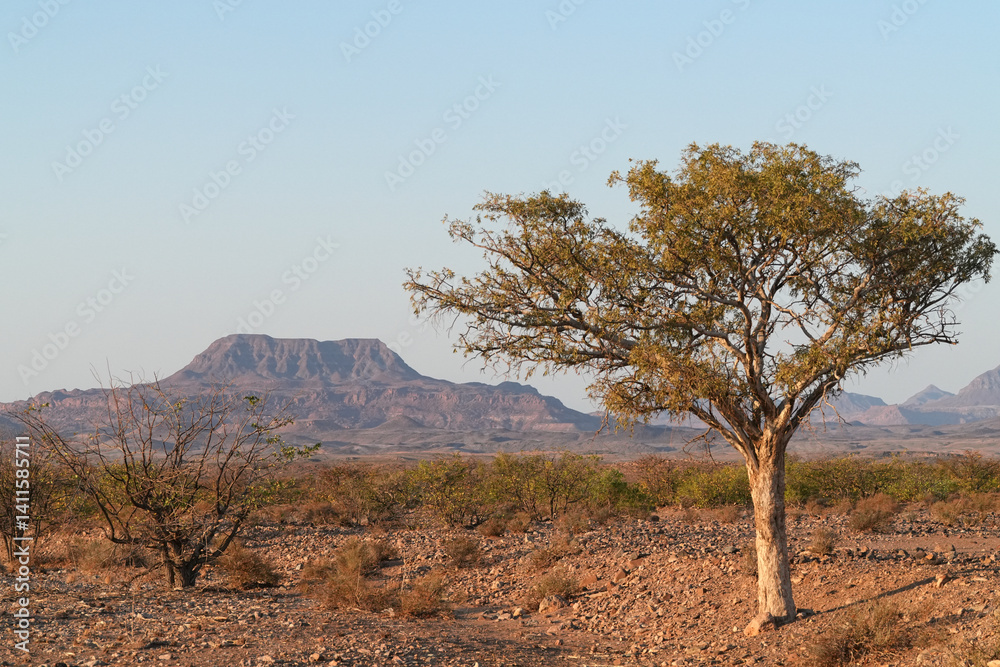 Hirtenbaum in der Steppe mit Bergen im Hintergrund Hirtenbaum in der Steppe mit Bergen im Hintergrund