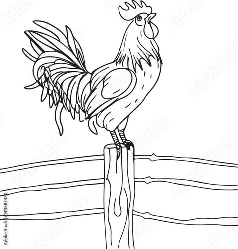 A Simple, Easy Way Of Rooster Standing 