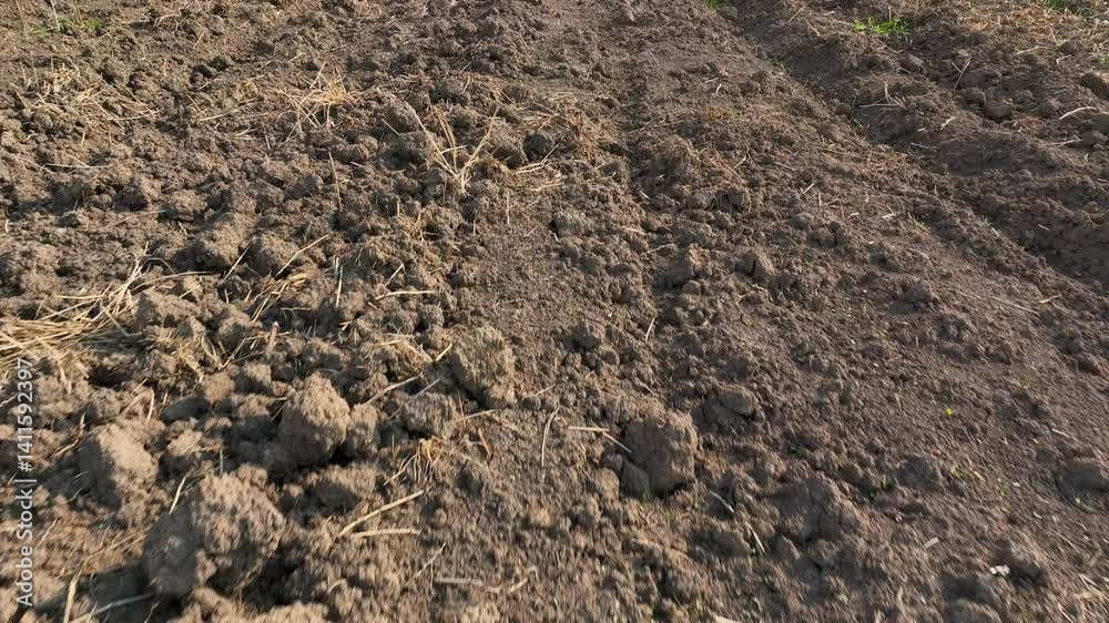 The shot highlights the earth's texture after being freshly plowed, showcasing the solid groundwork that supports healthy crop growth in upcoming seasons.
The shot highlights the earth's texture after being freshly plowed, showcasing the solid groundwork that supports healthy crop growth in upcoming seasons.