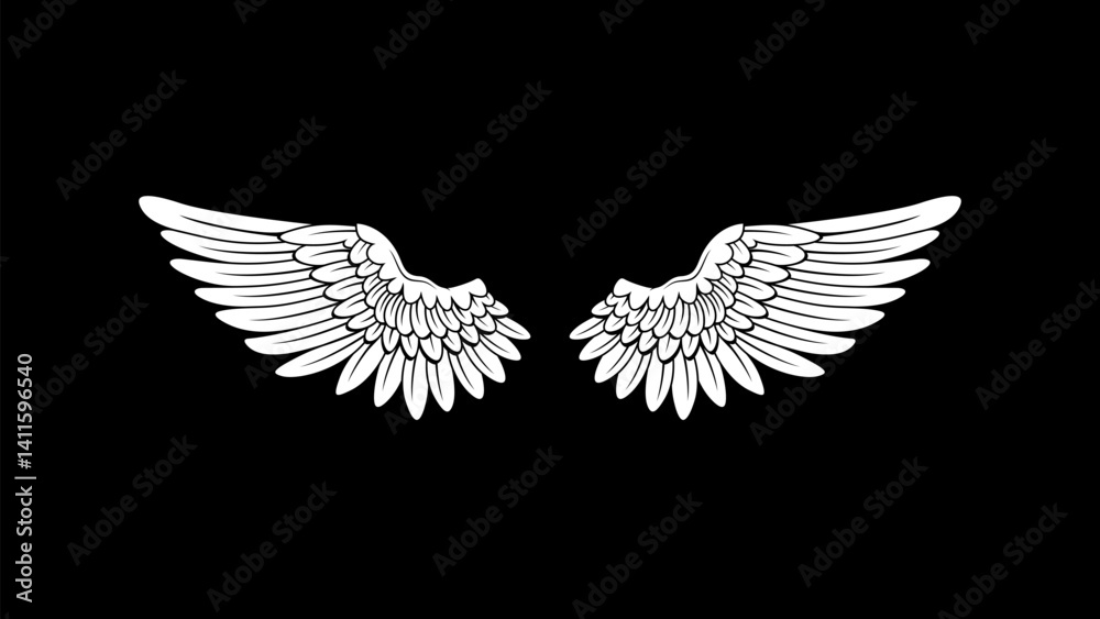 Obraz premium editable wings vector, wings angle, black and white, hawk wings, eagle wings, bird wing, feather, isolated background, 