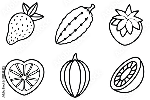miracle fruit line art botanical drawing black white