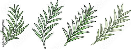 Four sprigs of fresh, green rosemary on a white background