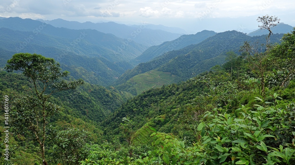 Fototapeta premium Majestic Mountain Range in Lush Green Valley