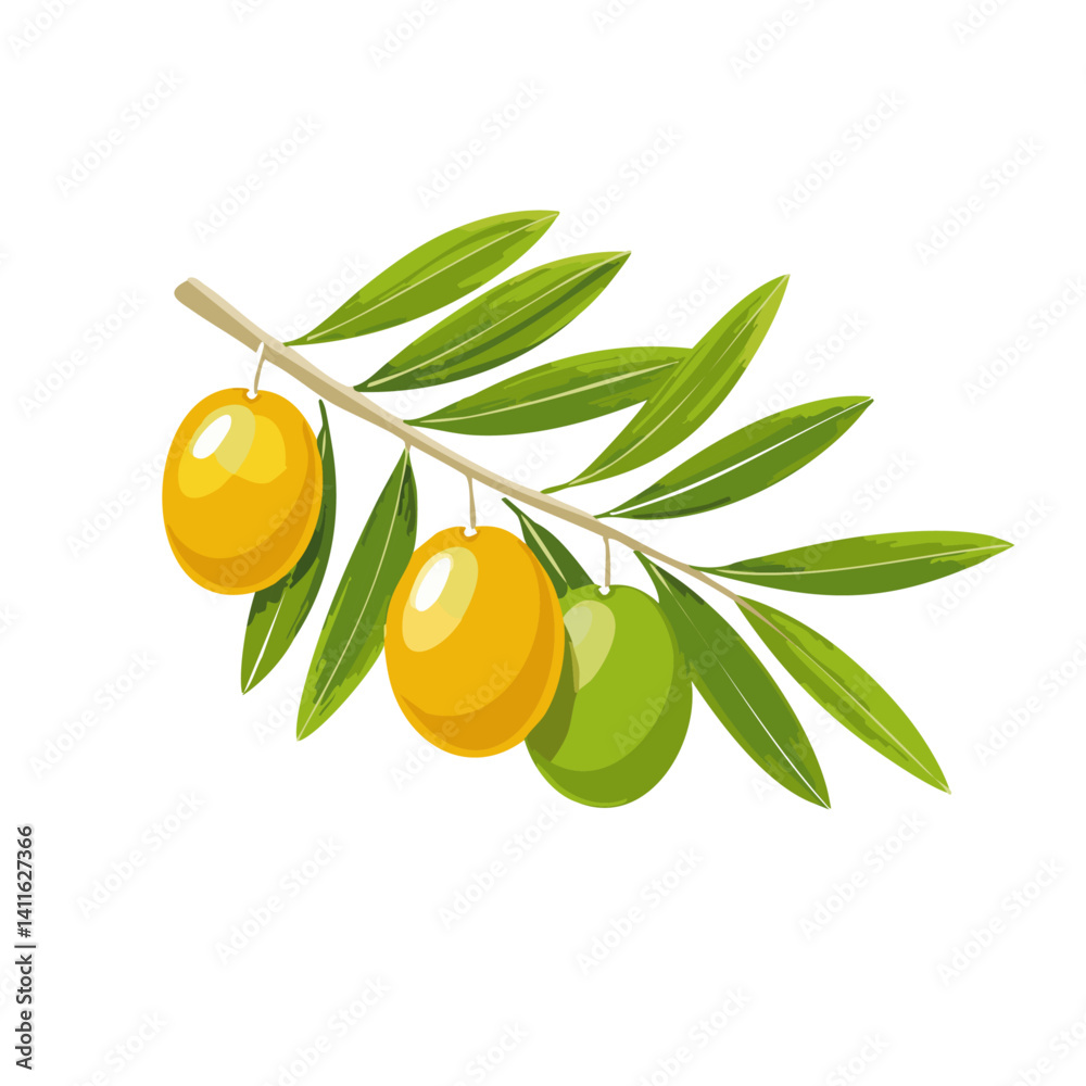 vector illustration of olive branch with leaves icon design