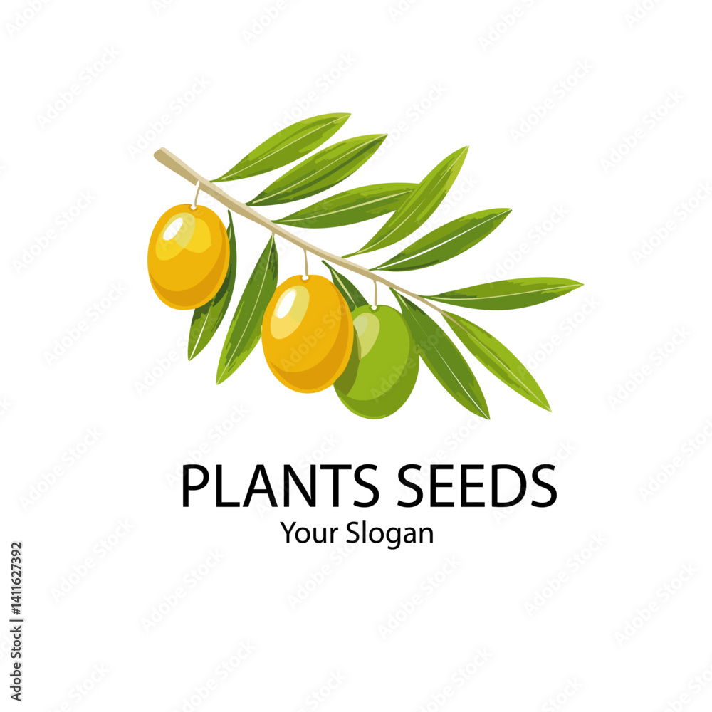 vector illustration of olive branch with leaves icon logo design text