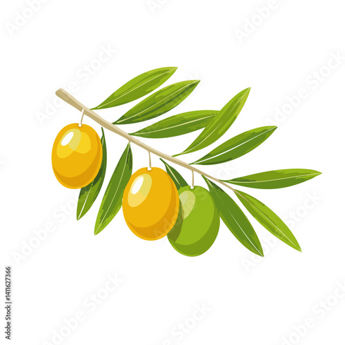 Obraz na płótnie vector illustration of olive branch with leaves icon design w salonie