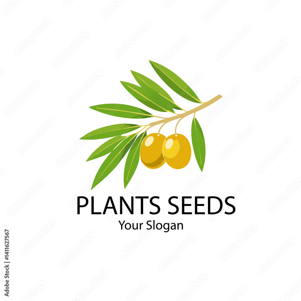 vector illustration of olive branch with leaves icon logo design text