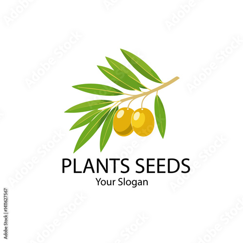 Obraz na płótnie vector illustration of olive branch with leaves icon logo design text