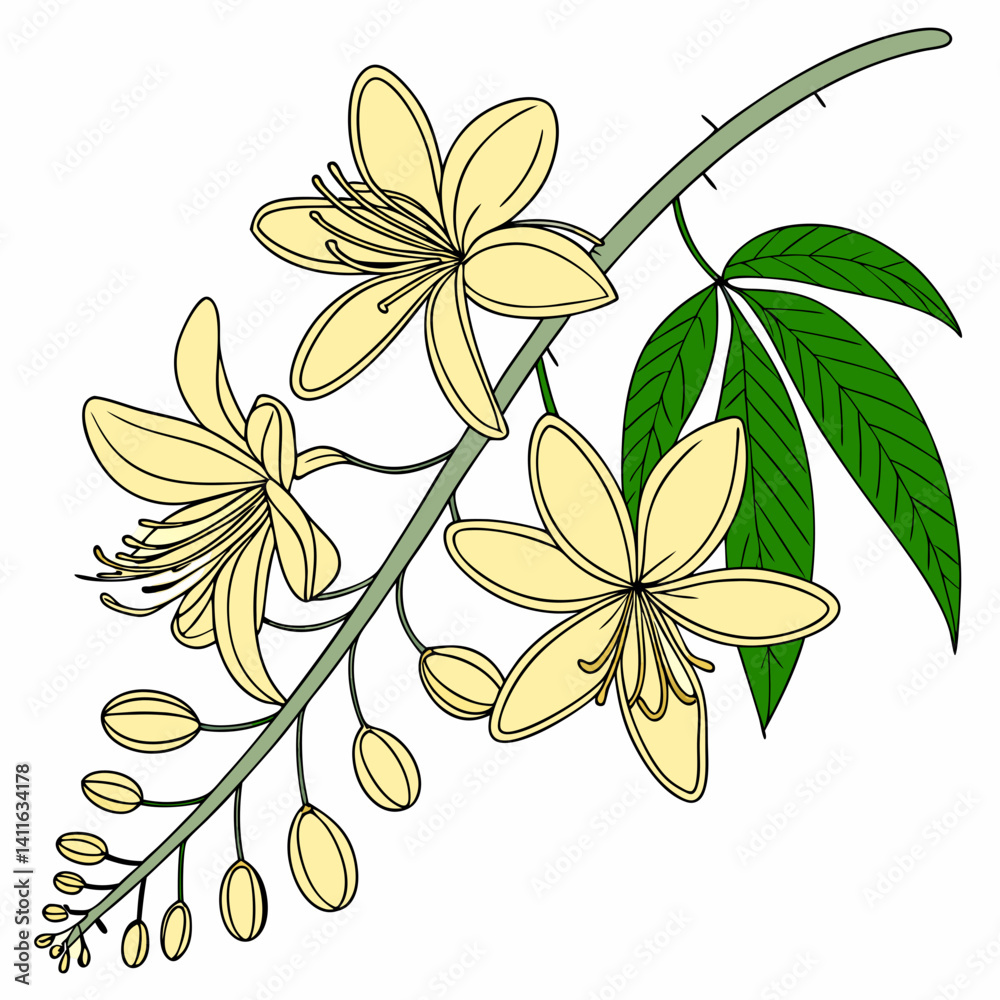 abstract floral vector illustration featuring a yellow indian laburnum blossom