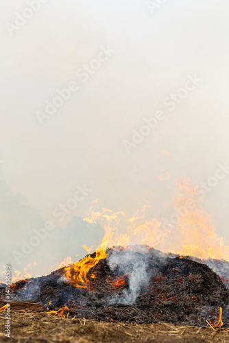 Smoke and flames from burning piles of stubble