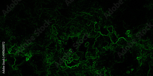 Abstract digital background with faint, glowing green electric lines and fluid. Mysterious, high-tech, and cybernetic atmosphere. Nebula-inspired void, with glowing filaments and deep.