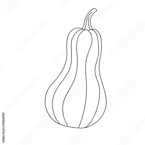 Detailed outline of a butternut squash on a white background, showcasing its unique shape and textures for artistic purposes