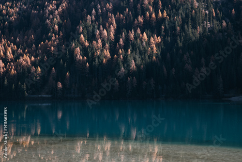 Reflections of forest trees on water at Antholzer See, South Tyrol photo