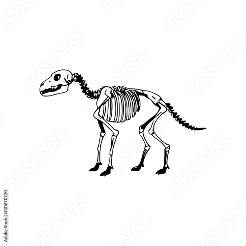 Detailed Dinosaur Skeleton Illustration for Educational Purposes Tattoo Designs and Coloring Books