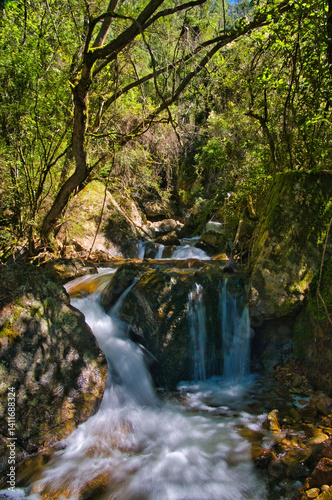 Waterfall in dense montane forest: Bluff Creek in Burrowa-Pine Mountain National Park, in the Australian Alps, Victoria
 photo