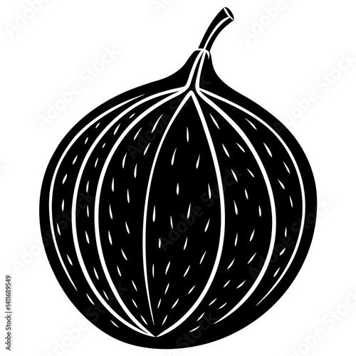 Nutmeg Vector Illustration | High-Quality Spice Clipart for Digital Use