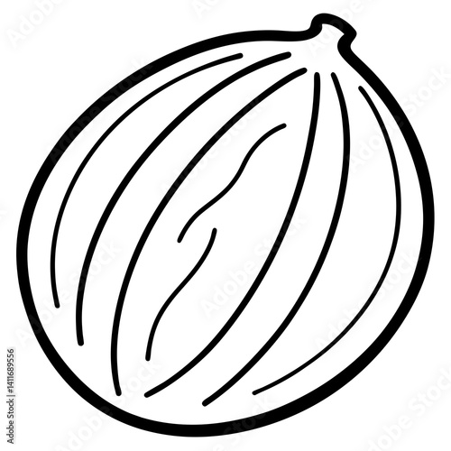 Nutmeg Vector Illustration | High-Quality Spice Clipart for Digital Use