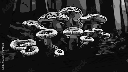 mushrooms in the forest