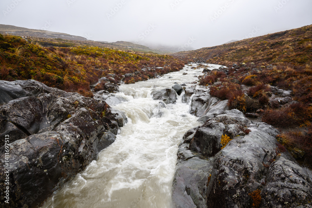 Water rushing down the river at Taranaki Falls track. Tongariro National Park. New Zealand.
