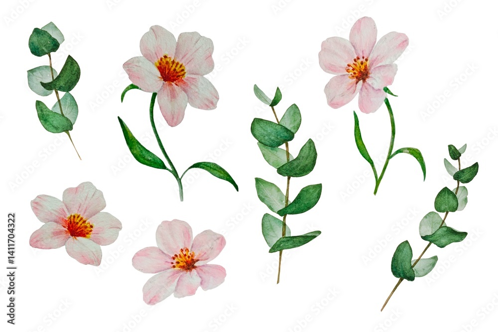 Fototapeta premium Set of hand drawn watercolor delicate spring pink white flowers, branches leaves eucalyptus white background isolated.