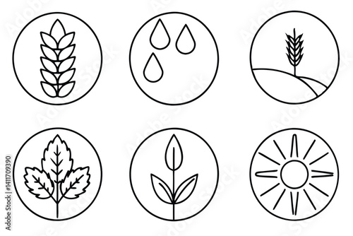 Crop rotation line art preventing pest disease in crops