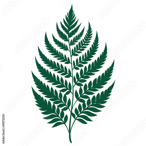 illustration of a fern leaf with intricate 