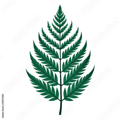 illustration of a fern leaf with intricate 