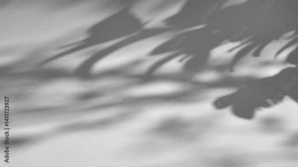 The shadow of a tree sways on a white background